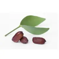 Jojoba Oil
