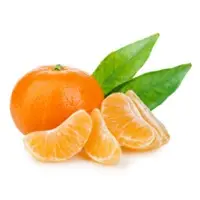Petitgrain Mandarin Essential Oil