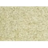 Sesame seed