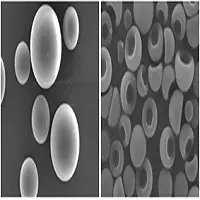 Light Diffusion Bead - LD P , SS ,  SD