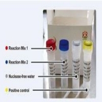 COVID-19 Testing Kits