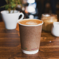 Biodegradable Paper Tableware