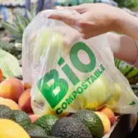 Biodegradable Bags