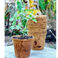 Bio Coir Pots