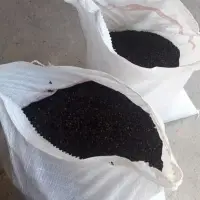 Black Pepper