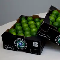 Fresh Limes