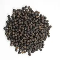 Black Pepper
