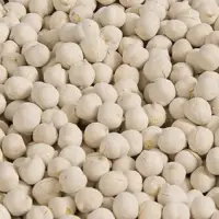 White Chickpea