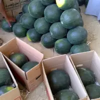 Water Melon