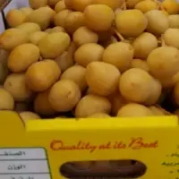 Barhi Dates