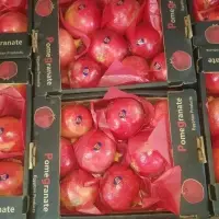 Pomegranate