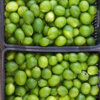 Lime