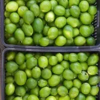 Lime