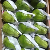 Guava