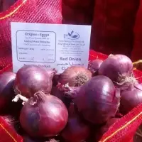 Onion