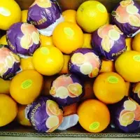 Valencia Orange
