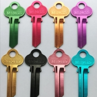 Lw4 Colours Key Blank