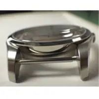 Watch Case Without Case Back