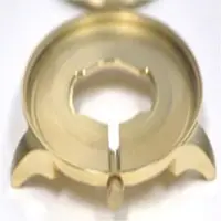 Watch Case Without Case Back