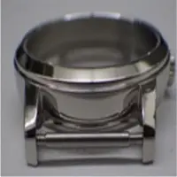 Watch Case Without Case Back