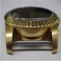 Watch Case Without Case Back