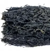 Wakame Seaweed