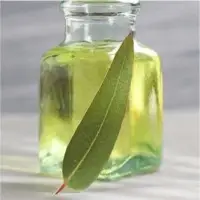 Eucalyptus Oil