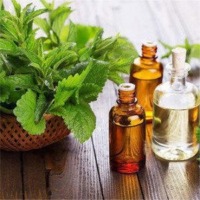 Pure And Natural Co2 Extracts