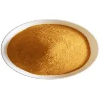 Corn Gluten
