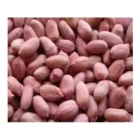 Peanut Kernel