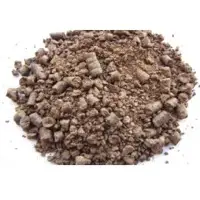 Groundnut Seed Meal