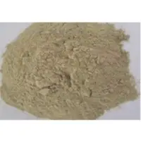 Rice Gluten
