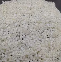 Ponni Rice