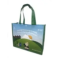 Laminated RPET Non-Woven Bag
