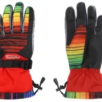 SKI Gloves