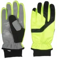 Winter Gloves