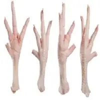 Frozen Chicken Feet