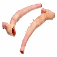 Beef Aorta