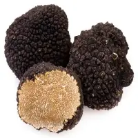 Truffle