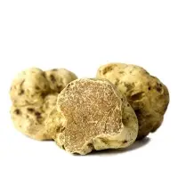 Tuber Magnatum Pico