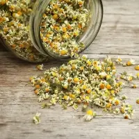 Chamomile