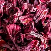 Hibiscus