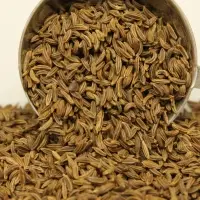 Caraway