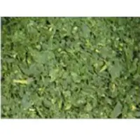 Tencha green tea