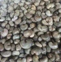 Raw Cashew Nuts