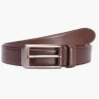 Dual Brown