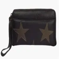 Mettalic Star Purse