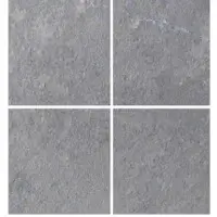Cuddapah Black Limestone