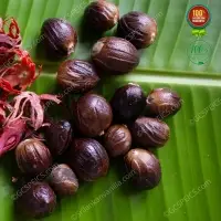 Ceylon Nutmeg And Mace