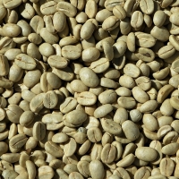 Green Coffee